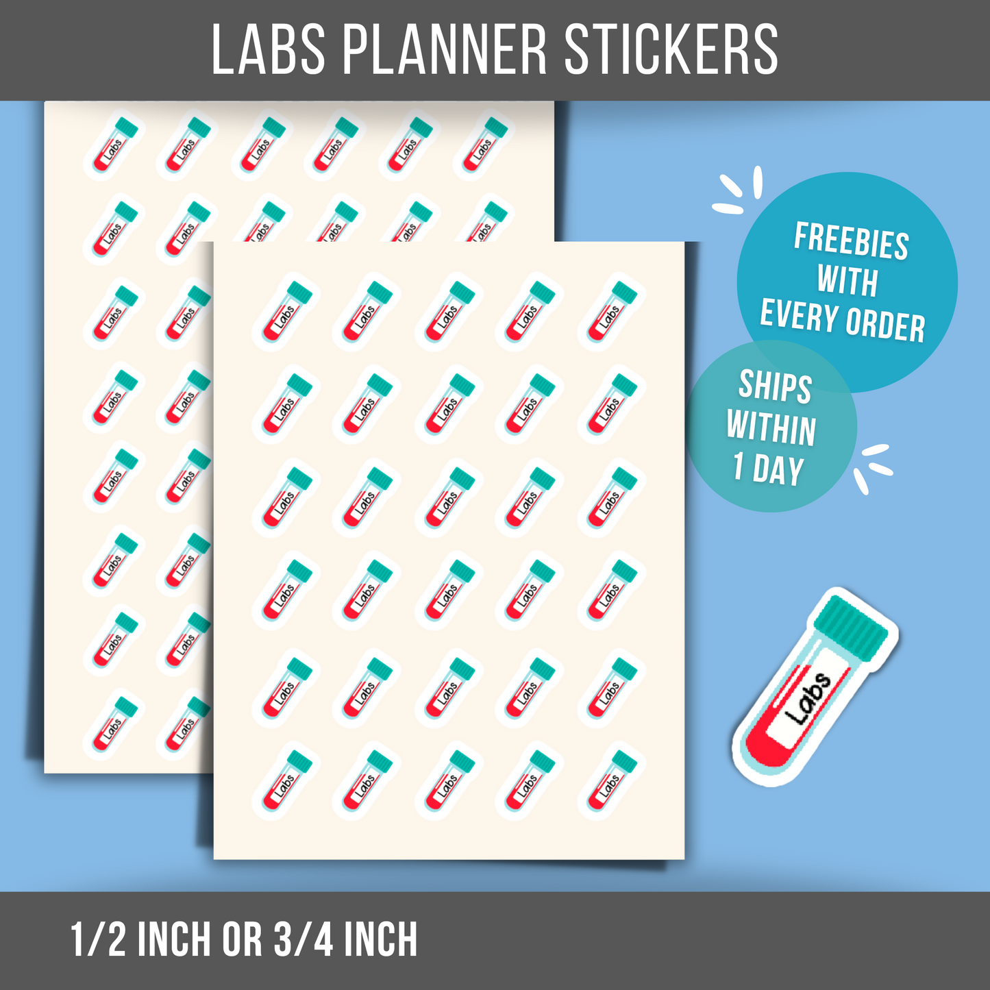 Blood Test Planner Sticker Mini Sticker Bloodwork Labs Reminder Medical Health Label Doctor Checkup Calendar Sticker