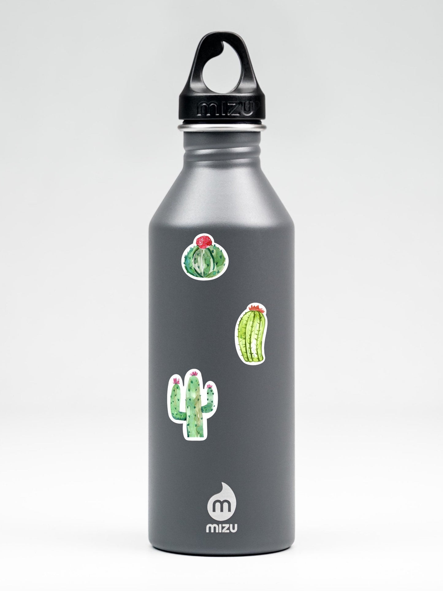 Mini Cactus Sticker Sheet Cute Cactus Succulent Small Sticker
