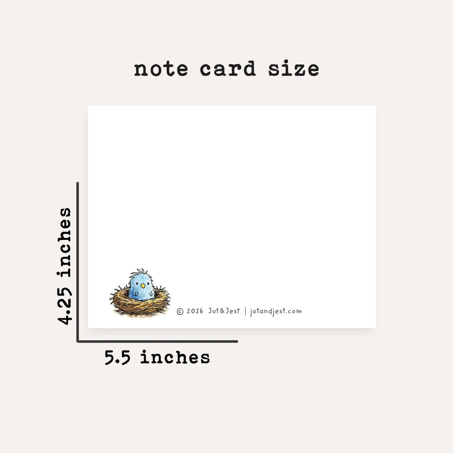 Personalized Scruffy Bird Stationery Set • Custom Name Flat Notecards • Cute Bird Thank You Cards • Bird Lover Gift • Set of 12