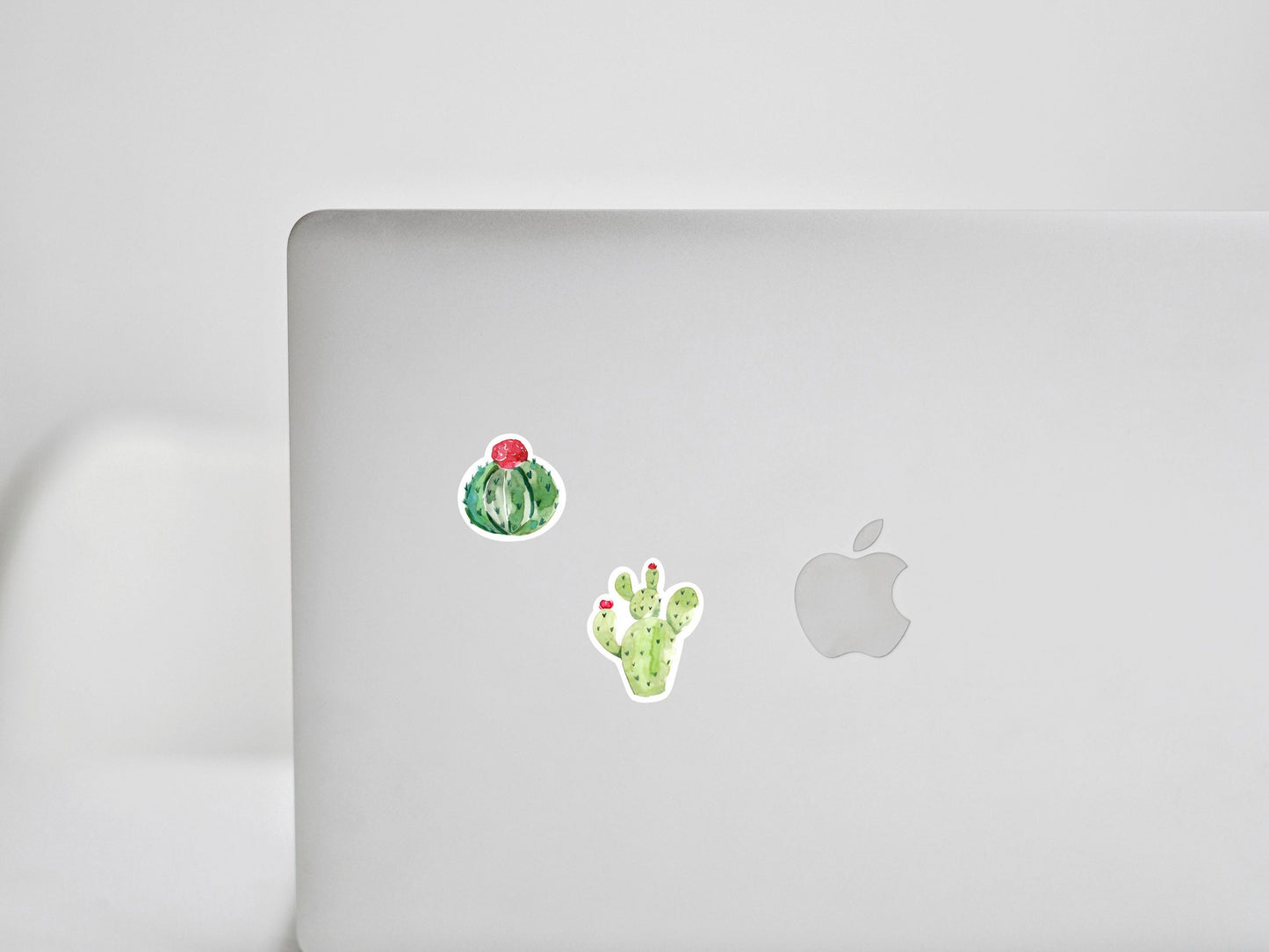 Mini Cactus Sticker Sheet  Cute Cactus Succulent Small Sticker