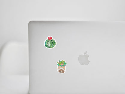 Mini Succulent Sticker Sheet • Waterproof Vinyl Plant Stickers • Cute Botanical Decals • Small Plant Lover Stickers • Laptop Water Bottle
